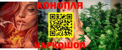 apvp Ипатово