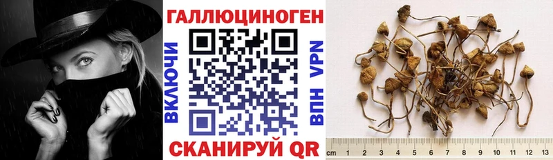 Псилоцибиновые грибы мухоморы  купить закладку  Шебекино 