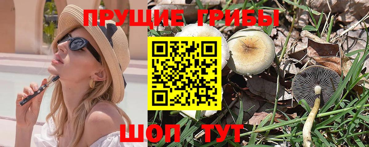 Галлюциногенные грибы GOLDEN TEACHER Шебекино